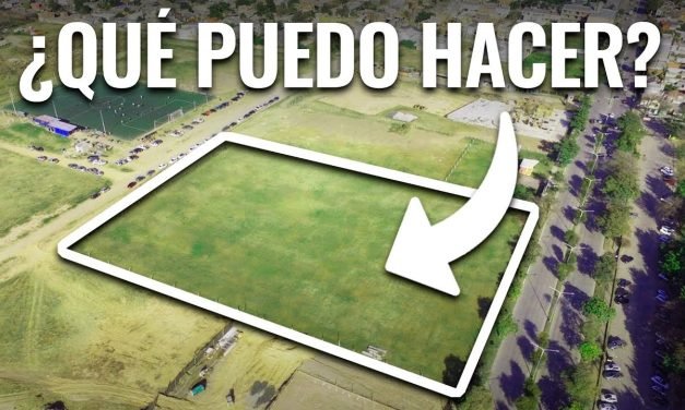 Explorando las Actividades Económico-Pecuarias Mallorca: Guía de Actividades para Turistas y Locales