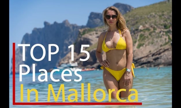 Explorando la Vida Silvestre de Mallorca: el Mejor Blog de Aves de la Isla