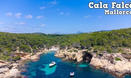 Descubre la belleza de Cala Cap Falcó: una joya escondida en Mallorca