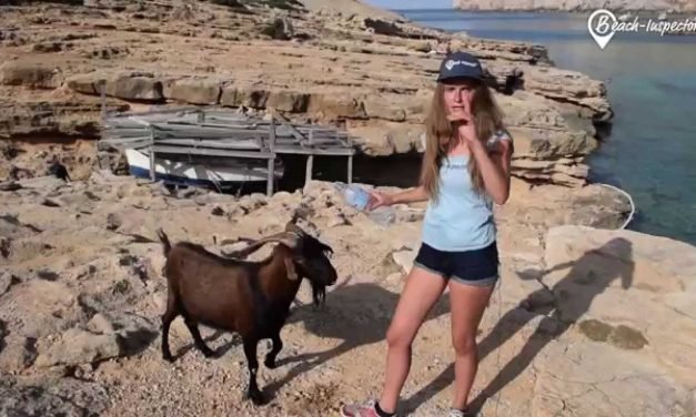 Descubre la belleza de Cala Figuera Strand: Un paraíso en Mallorca