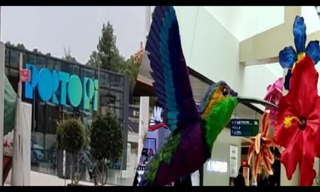 Descubre todo lo que el centro comercial Palma tiene para ofrecerte: tiendas, entretenimiento y gastronomía