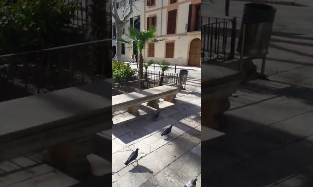 Descubre el Mejor Alojamiento de Juventud en El Jose Mari Youth Hostel