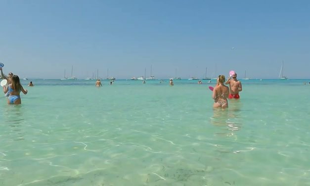 Descubre todo sobre ES TREC: Guía completa y consejos imprescindibles