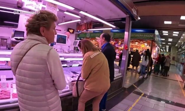 Mercado del Olivar: Tendencias y Claves para Entender su Evolución