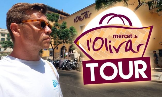 Descubre las mejores opciones del mercado en Palma de Mallorca: ¡Encuentra lo que buscas!