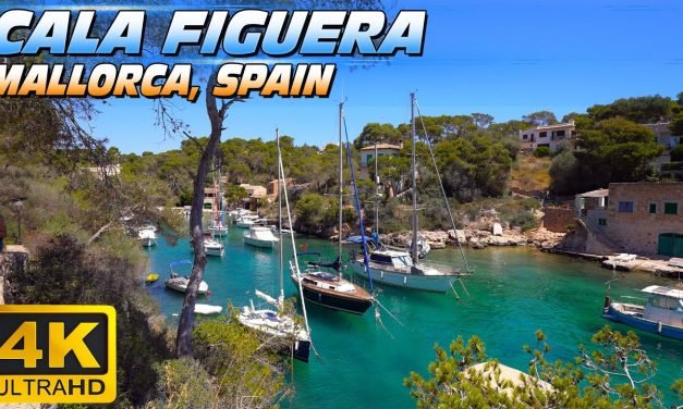 Descubre la belleza de Playa Cala Figuera: ¡El paraíso mediterráneo te espera!