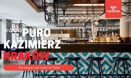 Descubre la Experiencia de Lujo en el Corazón de la Ciudad en Puro Hotel: ¡Reserva Ahora!