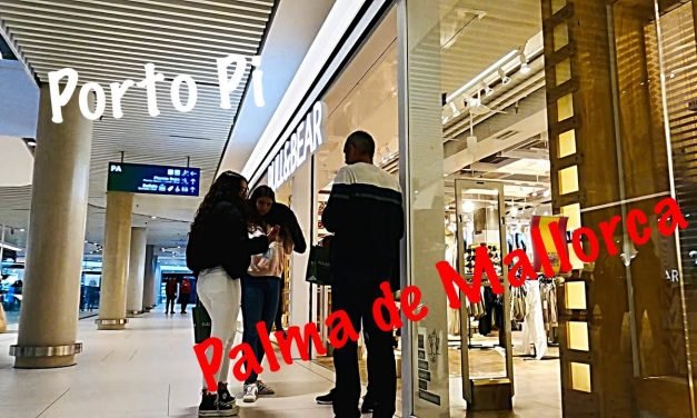 Los Mejores Restaurantes en Porto Pi: Descubre los Sabores que Debes Probar