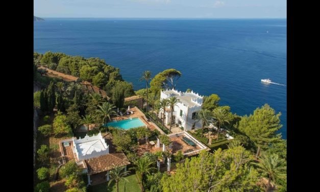 Todo lo que necesitas saber sobre las estacas: tipos, uso y consejos prácticos