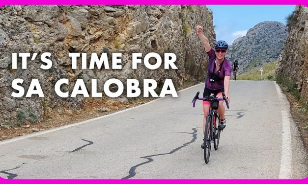 Descubre los secretos de la sa colabra: Origen, características y curiosidades