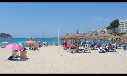 Discover the Beauty of Santa Ponsa Beach: Your Ultimate Travel Guide