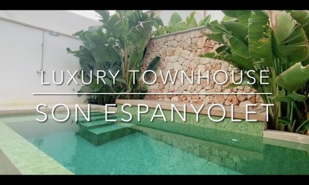 Descubre todo sobre los son espanyolet: origen, cuidados y características