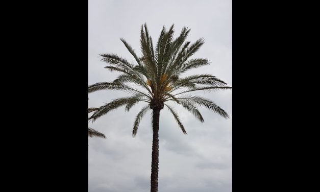 Descubre la Experiencia Única en el Hotel Náutico: Comodidad y Aventura en un Mismo Lugar