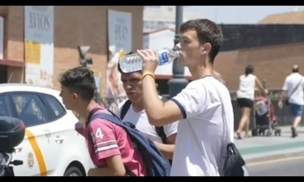 Ola de Calor en Mallorca: Consejos y Prevención para Superar las Altas Temperaturas